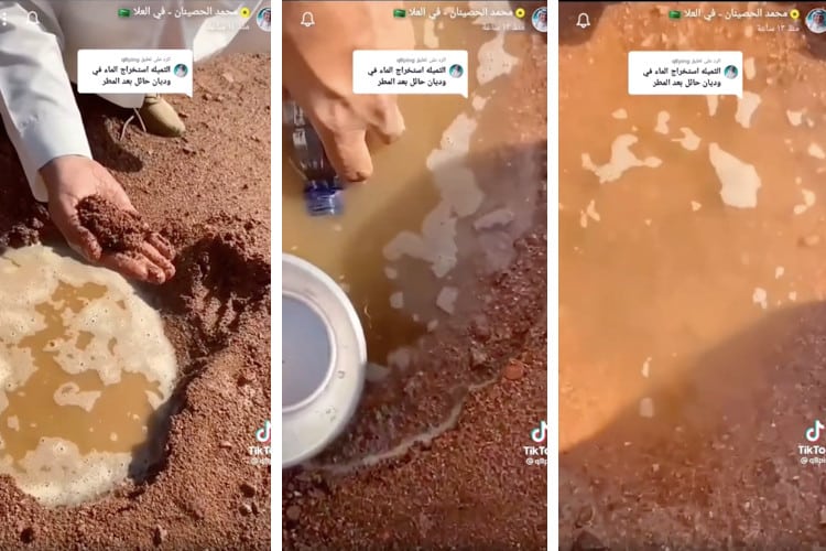 Viral TikTok Explains How Rain Water Can Be Naturally Filtered in the Arabian Desert
